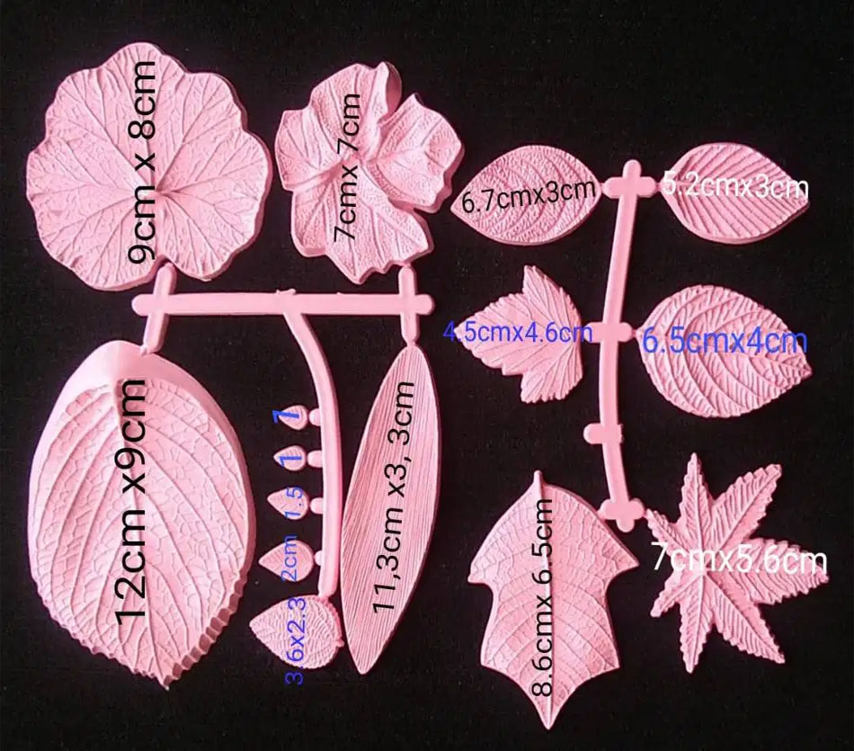 Set hojas nervadoras textura vegetal para floristería masas