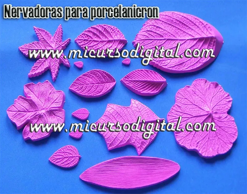 Set Hojas textura vegetal para floristería porcelanicrón