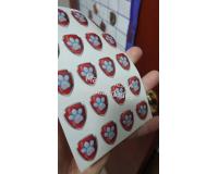 Accesorios escudo paw patrol Apliques Placa Insignia Huellas mas