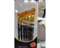 Set pinceles artísticos surtidos lengua de gato 6 unidades Para