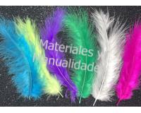 Plumas medianas colores surtidos  para manualidades