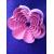 Set Cortadores de galletas forma de flores doble corte 6pz 7