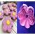 Set Cortadores de galletas forma de flores doble corte 6pz 2