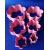 Set Cortadores de galletas forma de flores doble corte 6pz 4