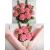Chelines Gamuzados Rosado Medio para muñecos Decoración 16