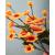 Limpia pipas para flores Chelines Gamuzados Naranja y tejido de 6
