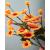 Limpia pipas Chelines Gamuzados Amarillo Claro para muñecos Deco 9