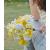 Limpia pipas para flores verde pastel Chelines Gamuzados 50pz 2
