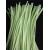Limpia pipas para flores verde pastel Chelines Gamuzados 50pz 7