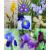 Molde para Foami crea lirios azules morados orquídea lirio común 7