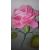 Molde para Fomi rosa capullo floristería y manualidad foami 4